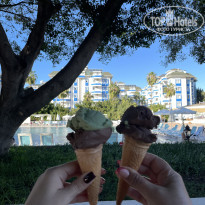 фото из отзыва ID 2736495