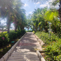 фото из отзыва ID 2736508