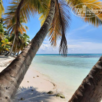 фото из отзыва ID 2736522