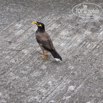 фото из отзыва ID 2736527