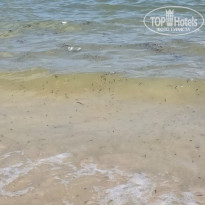 фото из отзыва ID 2736527