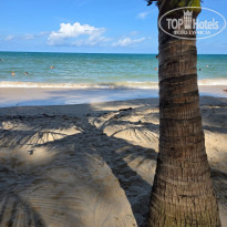 фото из отзыва ID 2736527