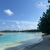 фото из отзыва ID 2736539