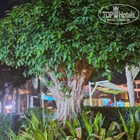 фото из отзыва ID 2736556