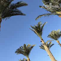 фото из отзыва ID 2736572