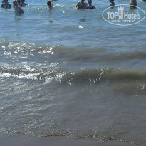 фото из отзыва ID 2736577