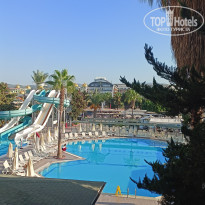 фото из отзыва ID 2736577