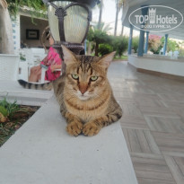 фото из отзыва ID 2734318