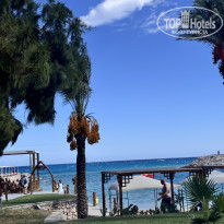 фото из отзыва ID 2736605