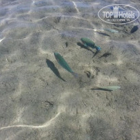 фото из отзыва ID 2736623