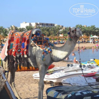 фото из отзыва ID 2736623