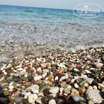 фото из отзыва ID 2736637