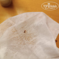 фото из отзыва ID 2736638