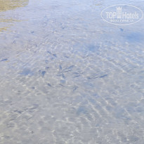 фото из отзыва ID 2736643