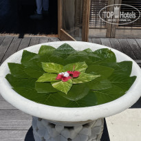 фото из отзыва ID 2736645