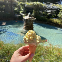 фото из отзыва ID 2736646