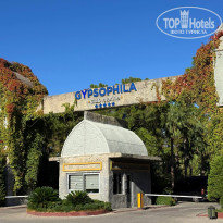 фото из отзыва ID 2736656