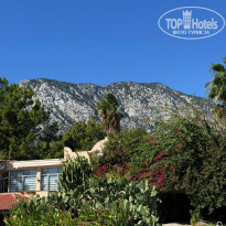 фото из отзыва ID 2736656