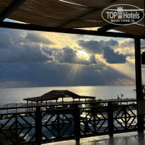 фото из отзыва ID 2736656