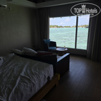 фото из отзыва ID 2736692