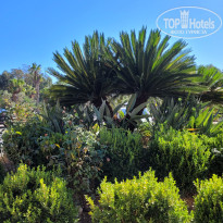 фото из отзыва ID 2736716