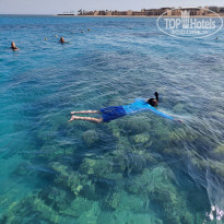 фото из отзыва ID 2736724