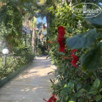 фото из отзыва ID 2736726