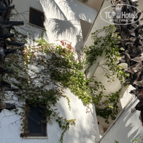 фото из отзыва ID 2736726