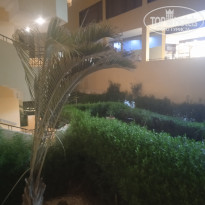 фото из отзыва ID 2736738