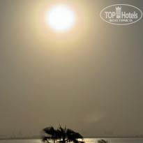 фото из отзыва ID 2736742