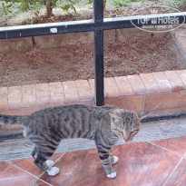 фото из отзыва ID 2736745