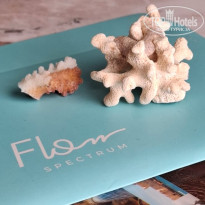 фото из отзыва ID 2736747