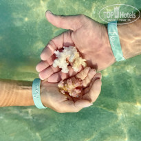 фото из отзыва ID 2736747