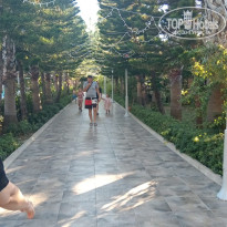 фото из отзыва ID 2736701