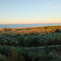 фото из отзыва ID 2736701