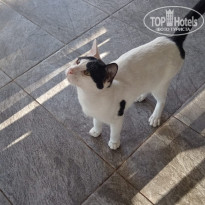 фото из отзыва ID 2736701