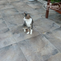 фото из отзыва ID 2736701