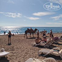 фото из отзыва ID 2736701