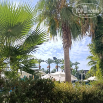 фото из отзыва ID 2736793