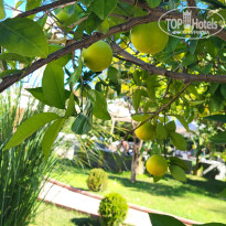 фото из отзыва ID 2736804