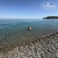 фото из отзыва ID 2736810