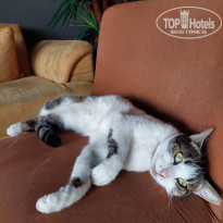 фото из отзыва ID 2736816