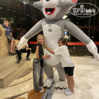 фото из отзыва ID 2736820