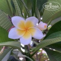 фото из отзыва ID 2736820