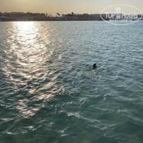 фото из отзыва ID 2736820