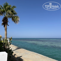 фото из отзыва ID 2736847