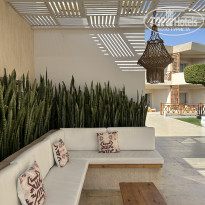 фото из отзыва ID 2736847