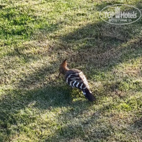 фото из отзыва ID 2736844