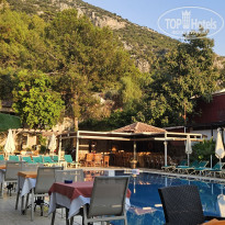 фото из отзыва ID 2736860