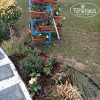 фото из отзыва ID 2736865